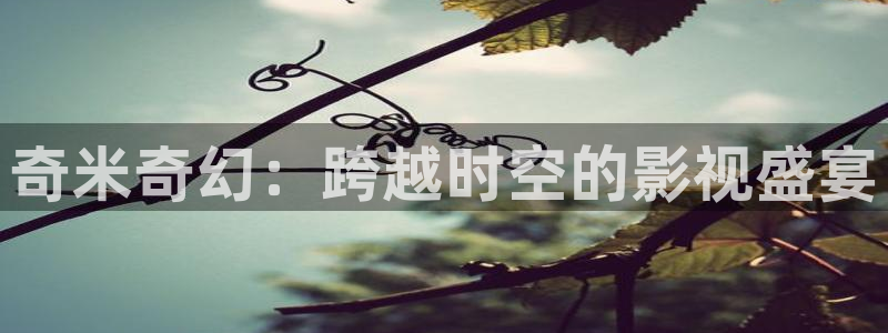 麦田照片：奇米奇幻：跨越时空的影视盛宴