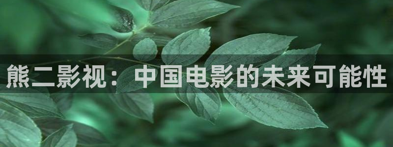 麦田影院电视版：熊二影视：中国电影的未来可能性