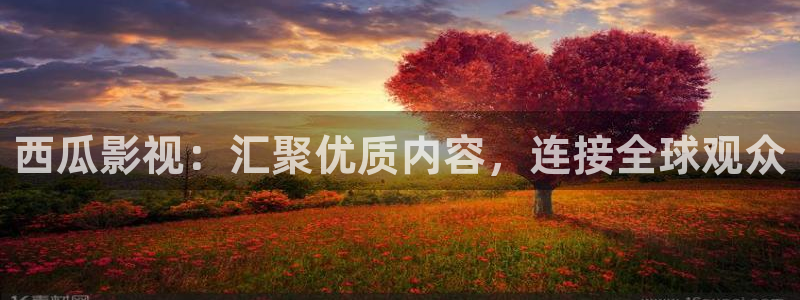 麦田影院电视剧在线看：西瓜影视：汇聚优质内容，连接全球观众