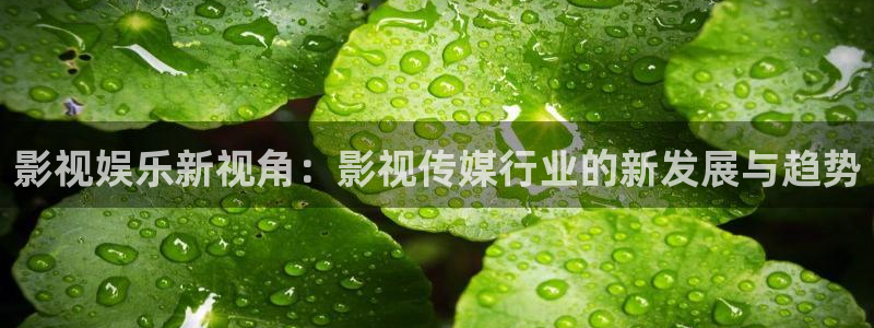 麦田影院免费下载官网：影视娱乐新视角：影视传媒行业的新发展与趋势