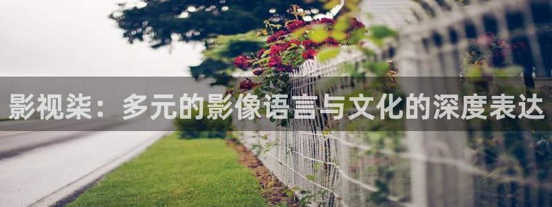 麦田 电影：影视柒：多元的影像语言与文化的深度表达