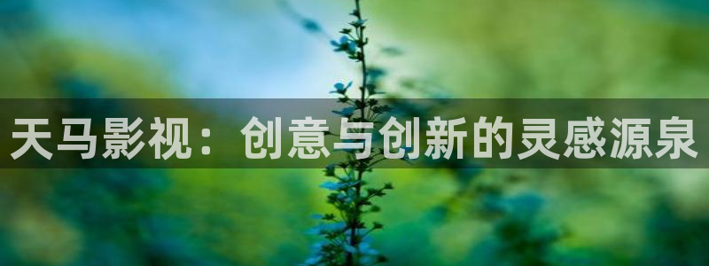 麦田映像官网：天马影视：创意与创新的灵感源泉