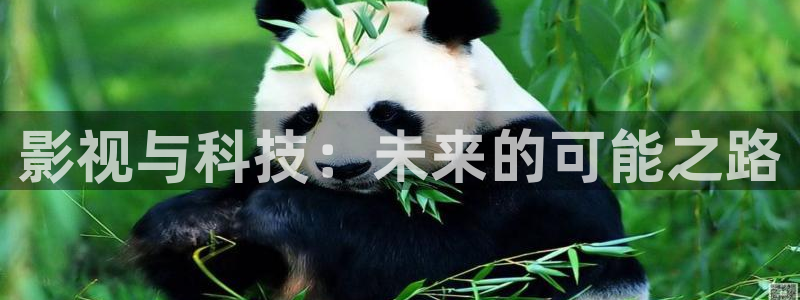 麦田映像官网：影视与科技：未来的可能之路