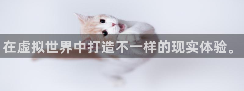 麦田影像：在虚拟世界中打造不一样的现实体验。