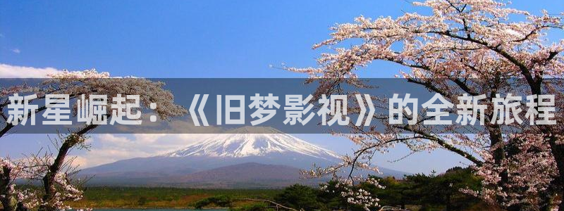 麦田北京：新星崛起：《旧梦影视》的全新旅程