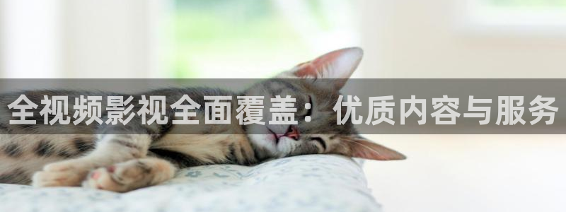 上海麦田：全视频影视全面覆盖：优质内容与服务