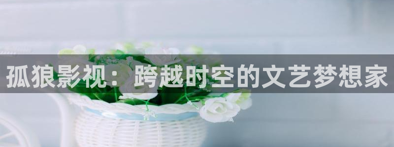 静海麦田国际影城：孤狼影视：跨越时空的文艺梦想家
