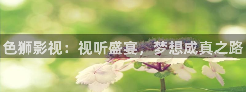 麦田电影院今日影讯：色狮影视：视听盛宴，梦想成真之路
