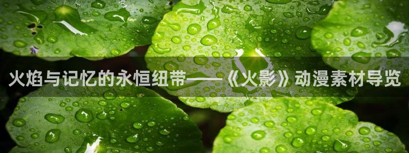 库尔勒麦田影城今日放映表：火焰与记忆的永恒纽带——《火影》动漫素材导览